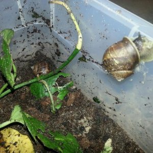 20141206 191840 resized