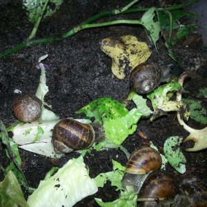 20141206 191834 resized