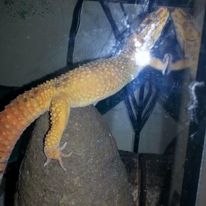 10922684 10204801007959180 532984775584166361 n