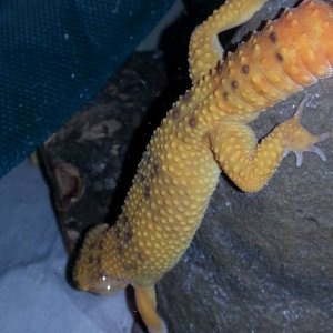 10847893 10204479556083084 6015194316724610379 n