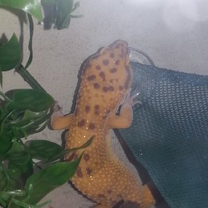 10915136 10204808292901299 5311734600583565363 n