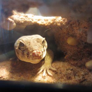 Prudence in one of her hideouts