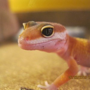 YumYum being so cute!