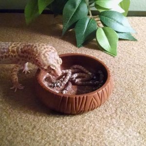 IMG 20150925 191046766