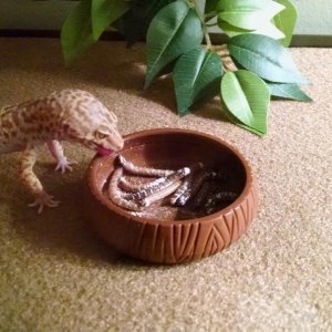 IMG 20150925 191032553