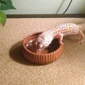 IMG 20150923 185019090