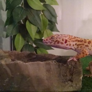 IMG 20150909 171833973