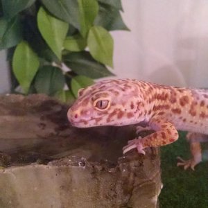 IMG 20150909 171824221