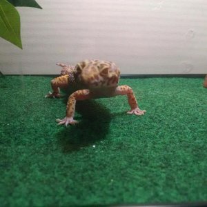 IMG 20150908 201528220