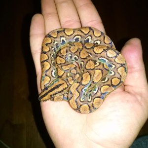 IMG 20150922 154405026