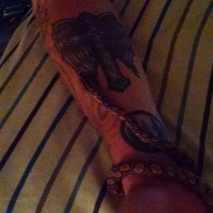 IMG 20150919 195044674