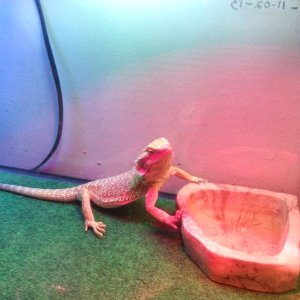 IMG 20140712 225332392 HDR