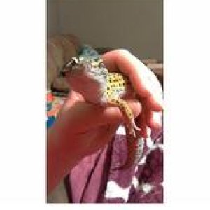 Screenshot 2016 02 13 00 45 59