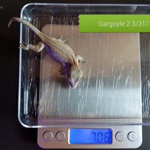 20180331 181116