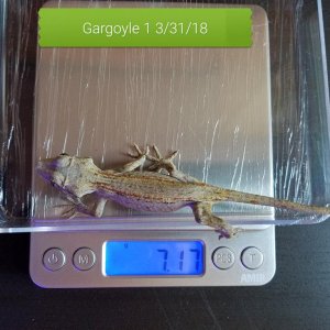 20180331 181018