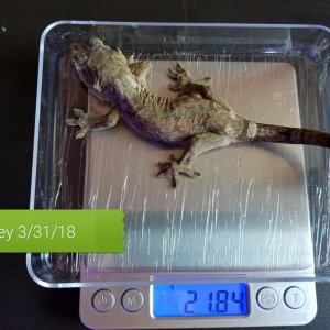 20180331 180750