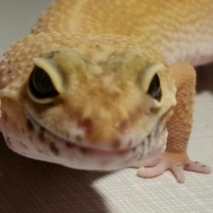 20180505 084846