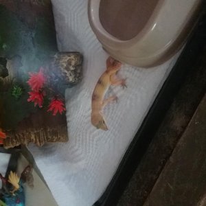 20180610 153033