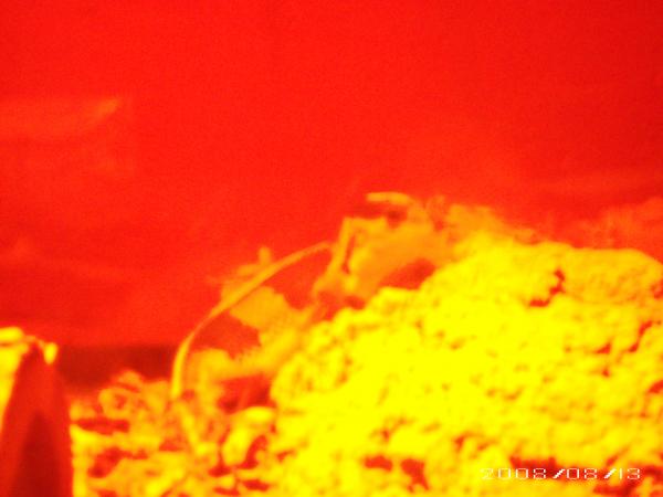 red light