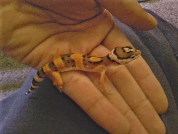 me holding Orion