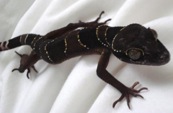 he's looks kinda creepy sometimes