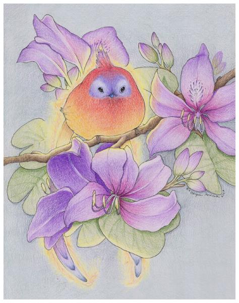 Blue faced phoenix
