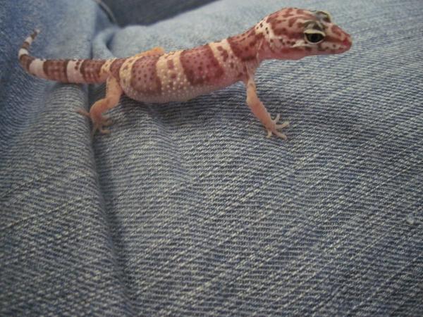 Just hanging out