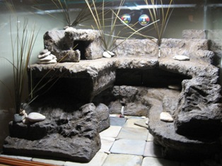 Aquarium 96