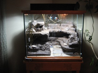 Aquarium 98