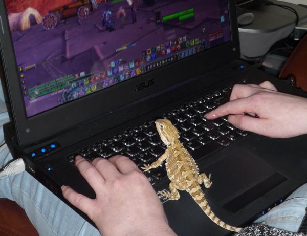 Blizz enjoying wow