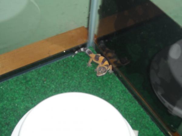Scooter!!!!!!!