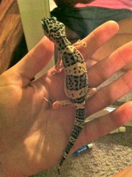 and a jolly belly :)