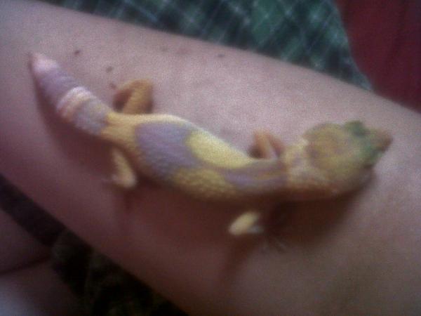 about 4 months old