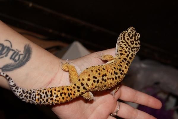 Danny's pretty spots