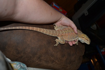 recent as of 9/17/2012