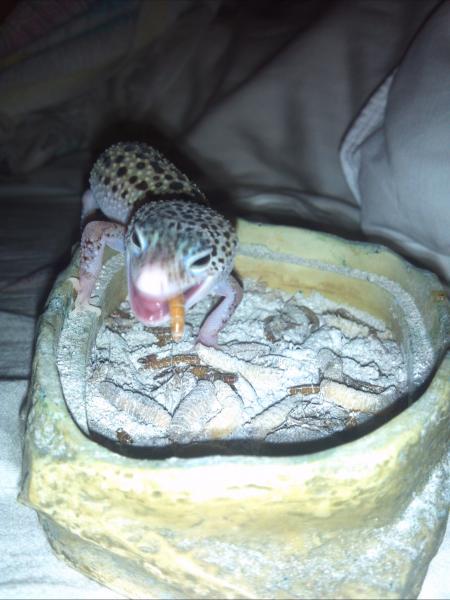 Mmm yummy food mommy! Thank you!