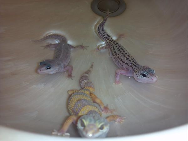 My cuties