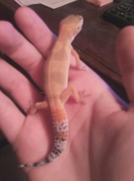 Beautiful Colors :)