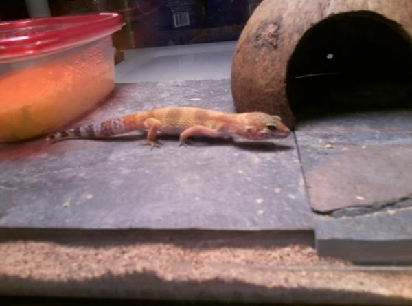 Shes getting big!
