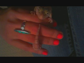 Xena Bracelet. She was pregnant here