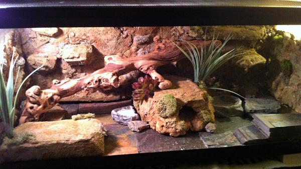 Dec 10, 2012

Naturalistic home finished