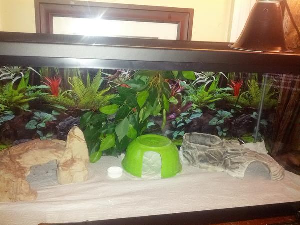 Xena new crib