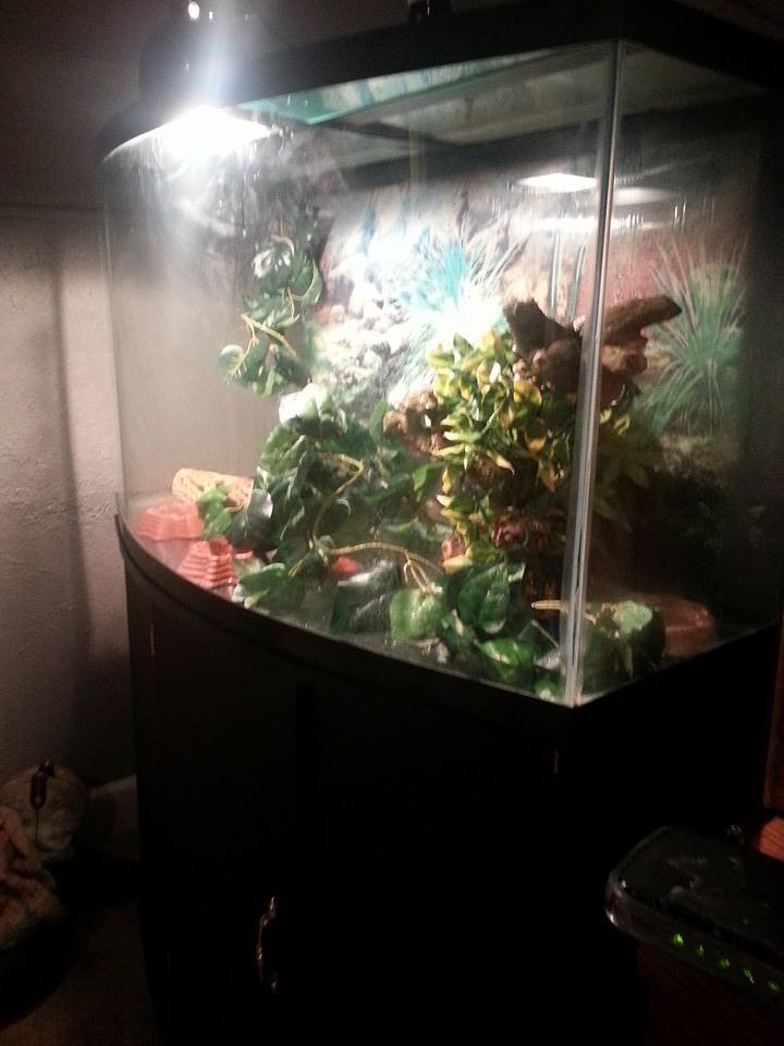 View from my bed
