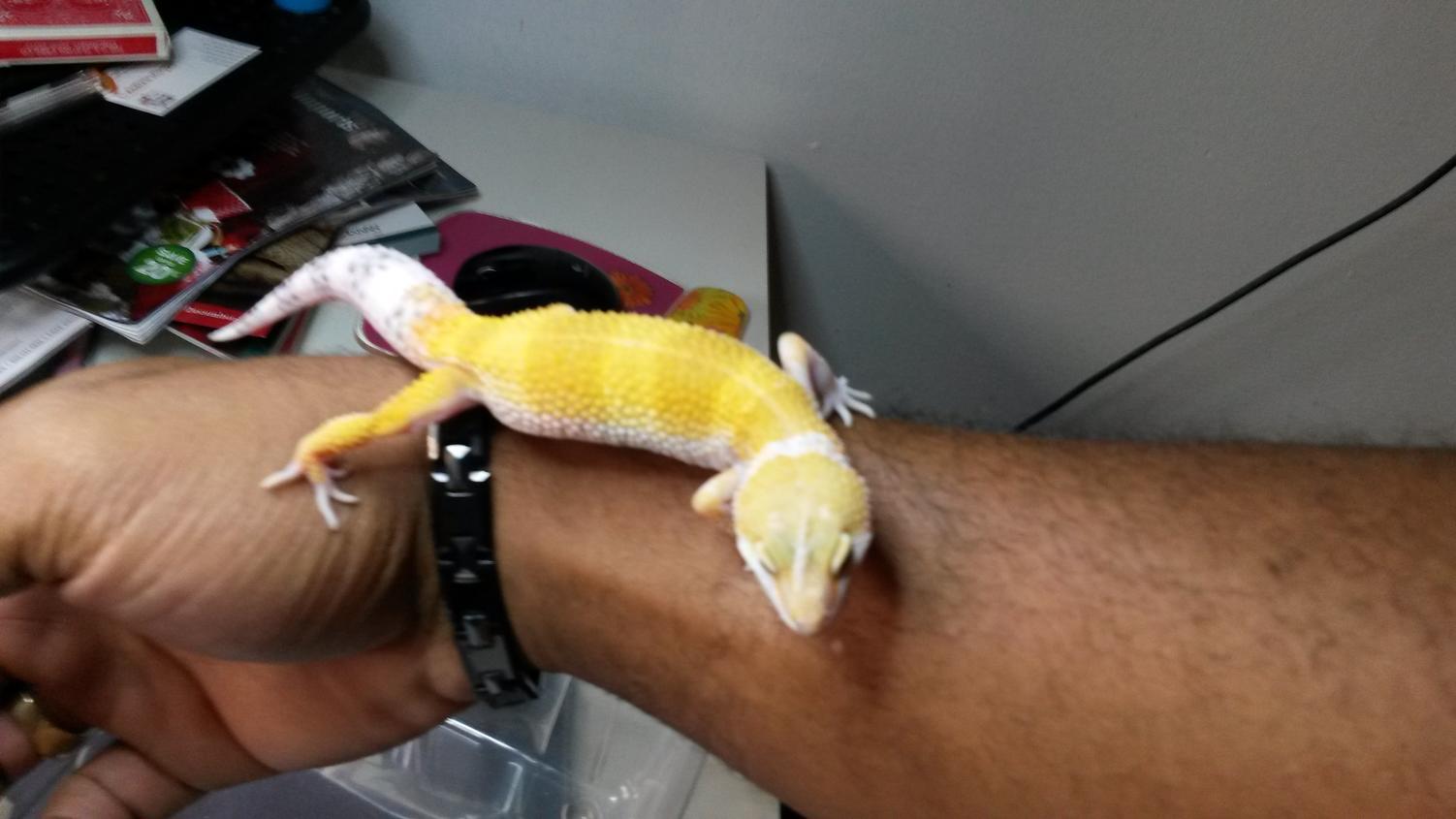 My super hypo