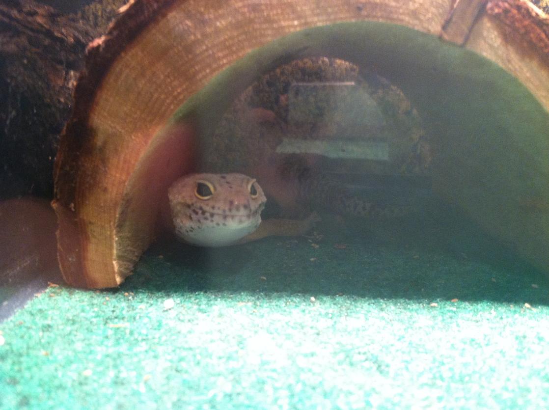 Smile for the camera!!! :)
