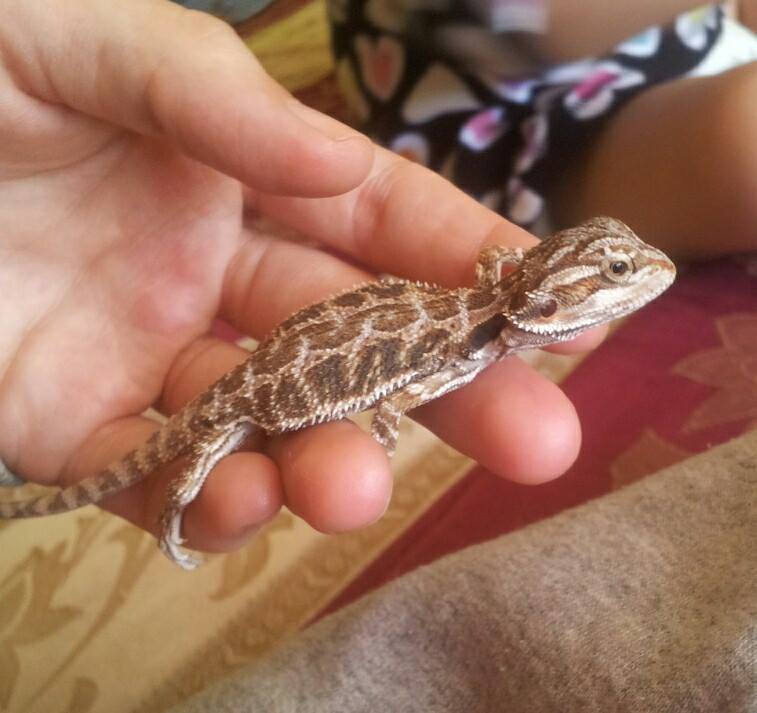 Phoenix as baby