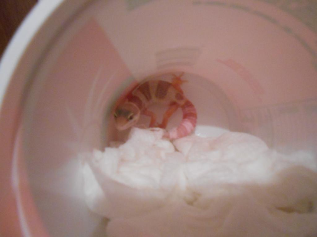 No Name Yet