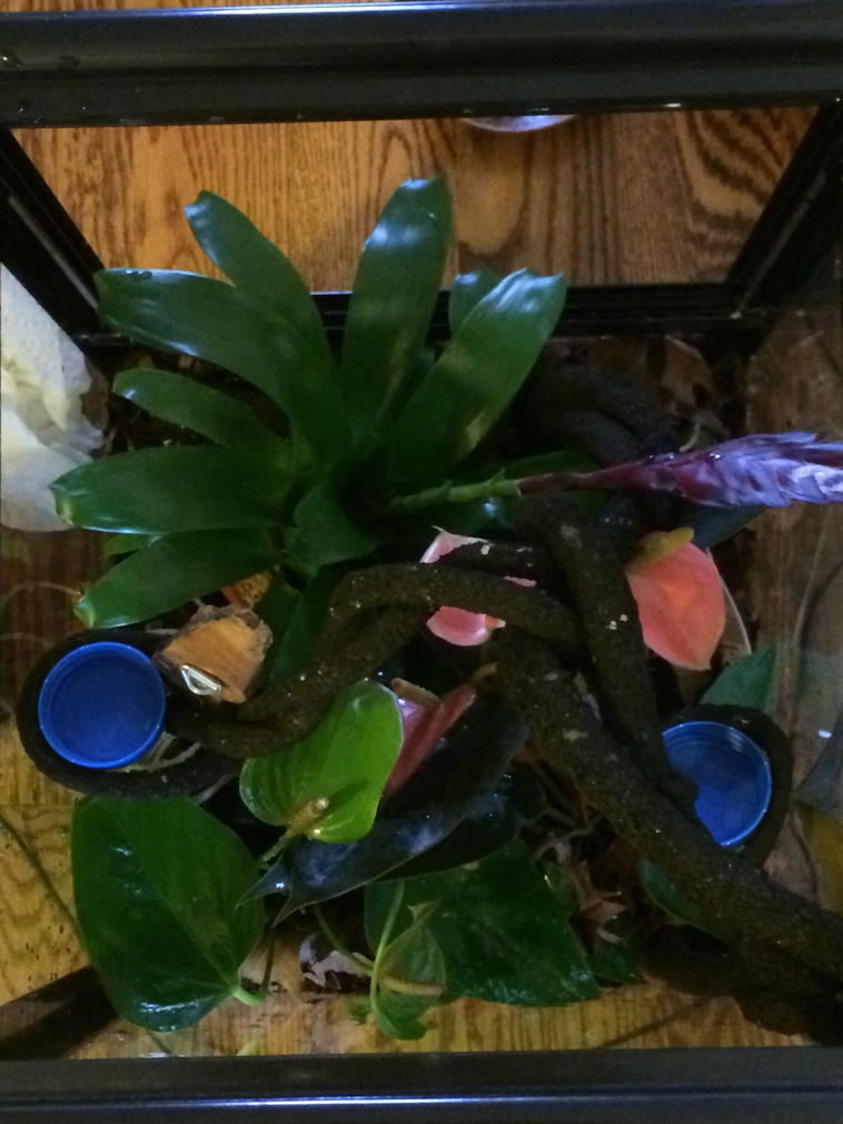 Hybrid viv top with food dishes in place