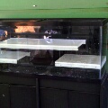 3 shelfs in