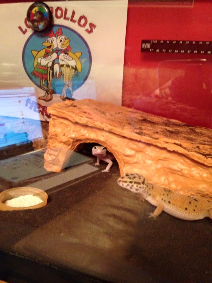 10300301 911576398861694 191266612310183130 n